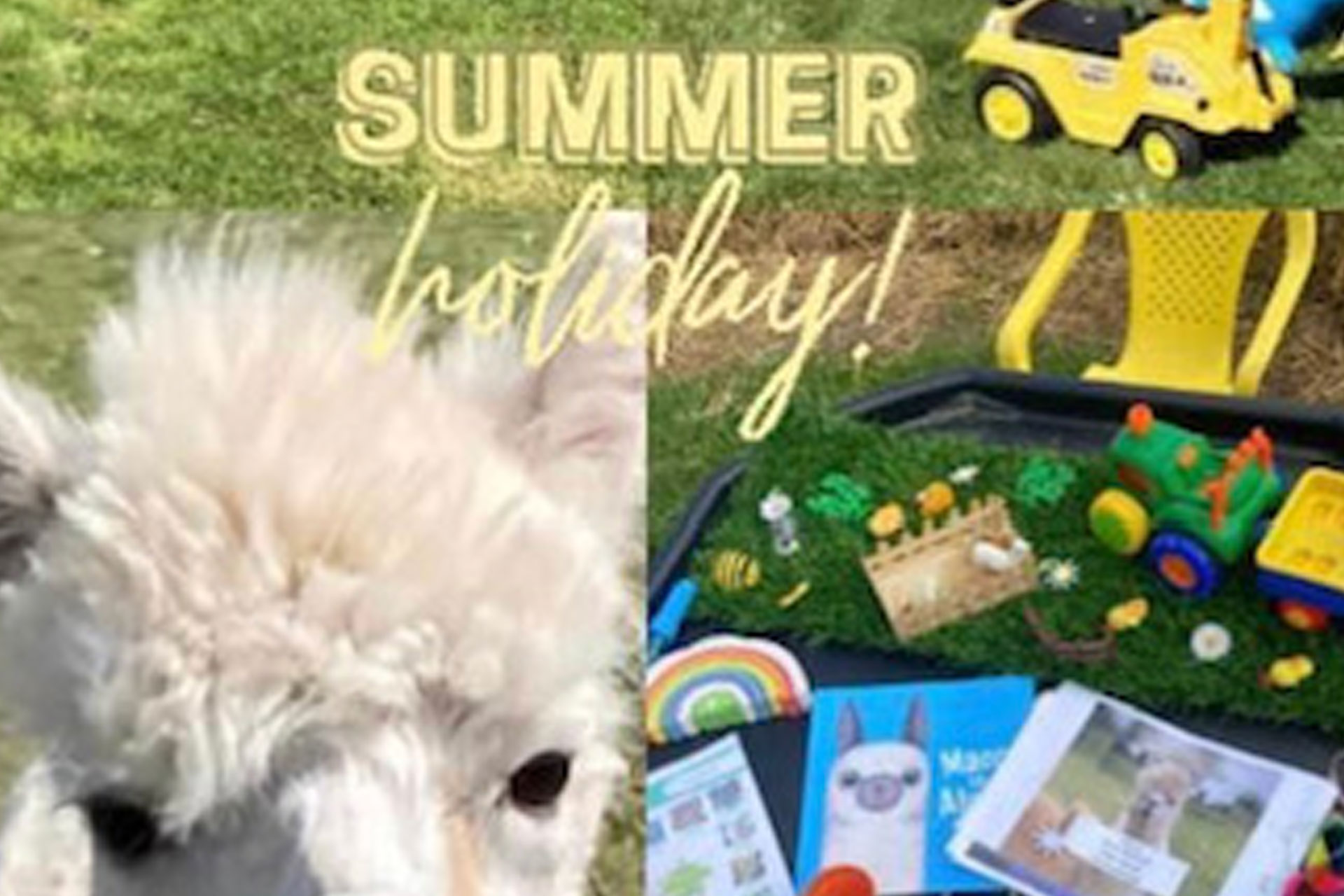 Alpaca A Picnic 