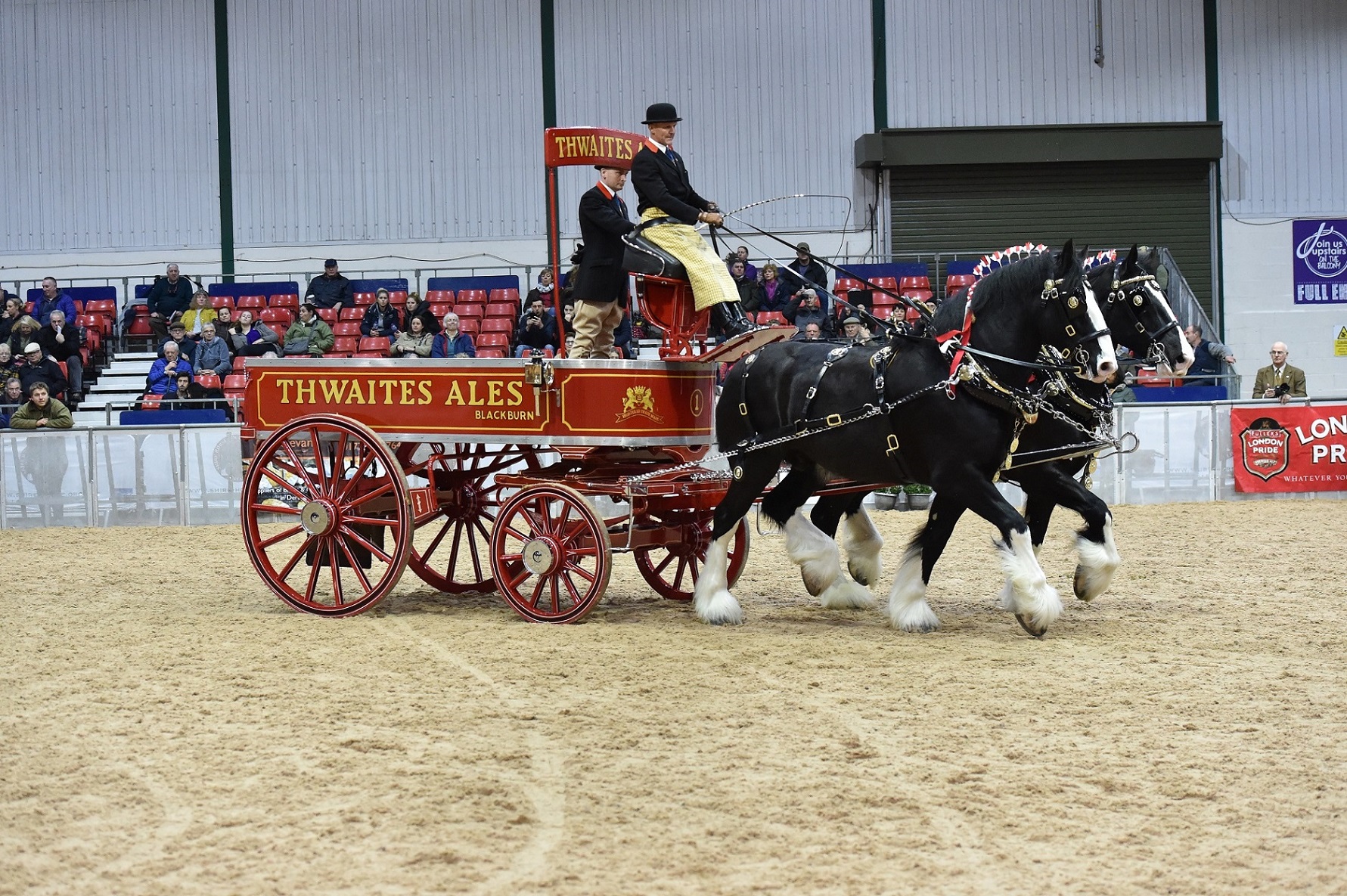 NATIONAL SHIRE HORSE SHOW