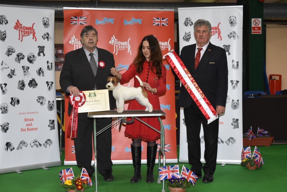 Staffordshire County Showground